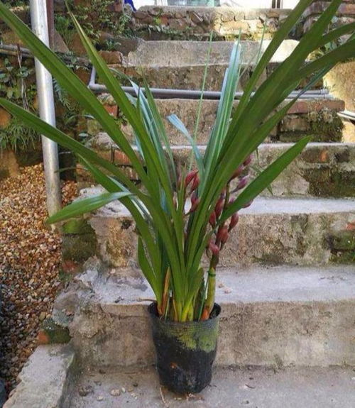 日常管理和维护