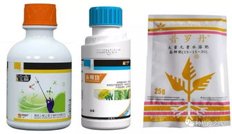 注意事项，别让宝贝变废品