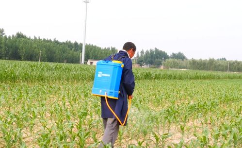 新型药剂的应用