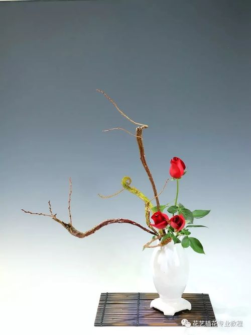 如何让废枝复活