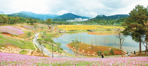 合肥市苗木产业的美好愿景