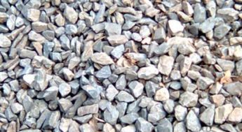 云南普洱的育苗高手会在木箱底部铺火山石，发芽速度比常规方法快3天！