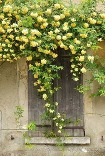 北方花园的空窗难题