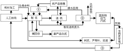 废纸能否转化为有机肥料？