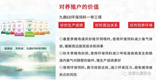 九鼎饲料如何引领行业，助力养殖事业持续繁荣发展？