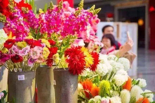 周末的花市：年宵花的盛宴
