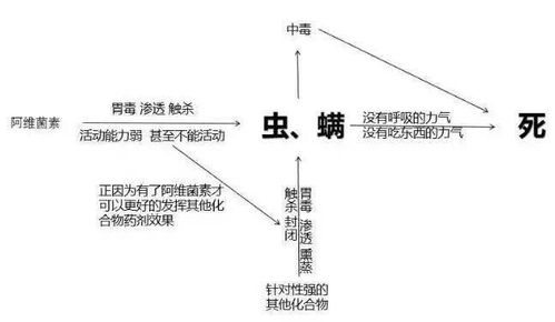 虫子死了世界就清净了？
