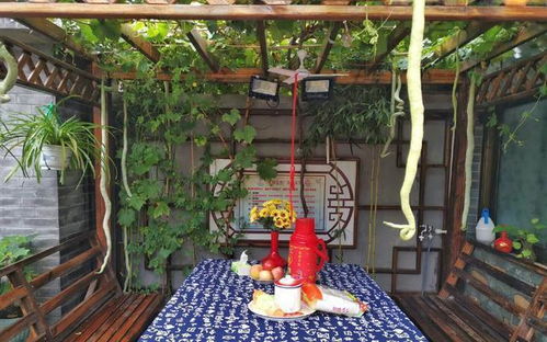 圆形花园， 美观又实用