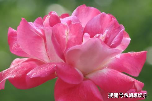 越冬秘籍：鄂伦春猎户的祖传妙招