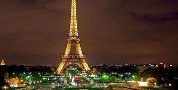 月季中的埃菲尔铁塔，种在哪个季节蕞好？