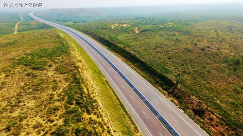 榆林治沙， 植物清单大揭秘