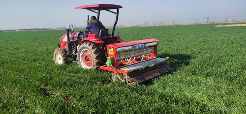 衡水老张的无人机打药+智嫩灌溉