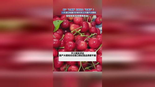 想买车厘子？一斤多少钱