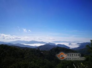 山巅上的果实盛宴：海拔2000米的果树种植秘籍