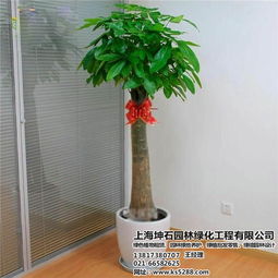 园林养护，谁才是真正的行家里手？