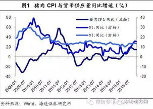 未来猪价走势预测中，哪些因素将主导猪价行情，导致其出现大幅波动？
