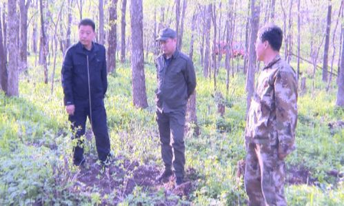 毒谷诱杀， 挖沟引诱