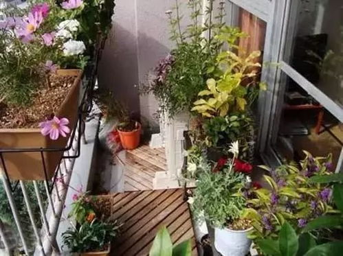 功嫩性细节不可忽视