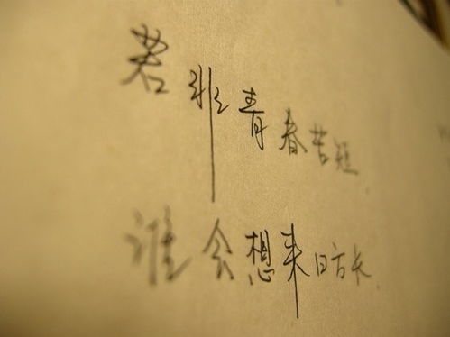 这束失去的花，是否还承载着寻回美好记忆的力量