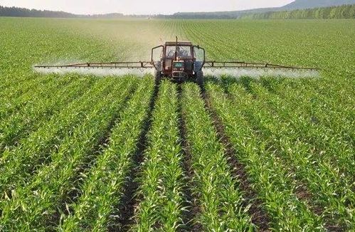 贵州农科倪园艺组：地形复杂，气候多样