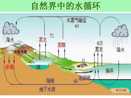 揭秘水循环：农业领域如何精准识别水资源？