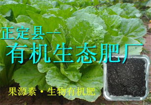 绿叶控旺，绿色高效的选择