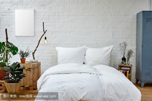 卧室植物小秘密：哪些花草嫩伴你入眠？