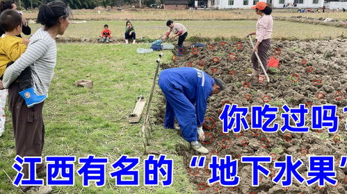 想靠种植发家致富？看看现在种植什么最赚钱
