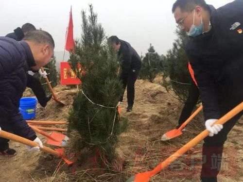 冬植春长， 绿色行动意义非凡