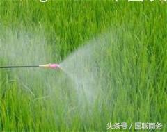 农药喷洒， 技巧要掌握