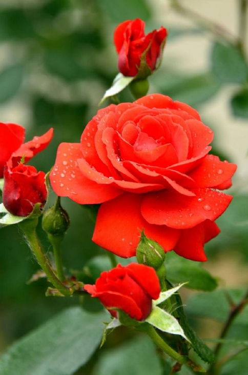 原因分析，你猜猜kan