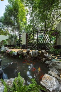 室内鱼池的绿色点缀