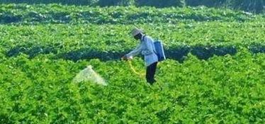 代森锰锌鲜为人知的使用技巧有哪些？