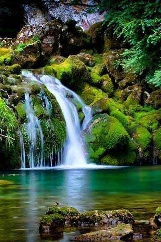 第一步：选石头，这可是关键！