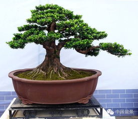 吸管排砂，零成本