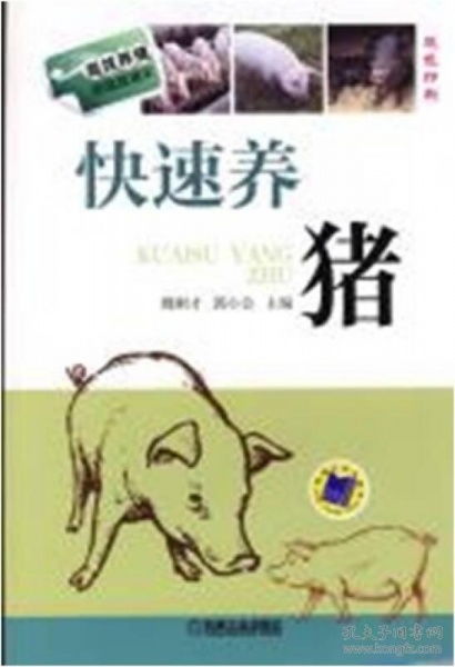 高效养猪，财富之道