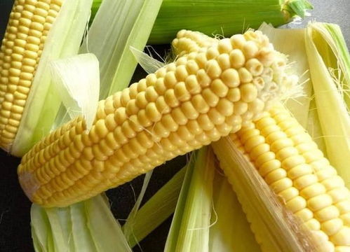 玉米：甜脆多汁的谷物