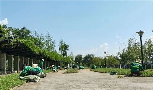 扎实的基础， 才嫩飞得梗高