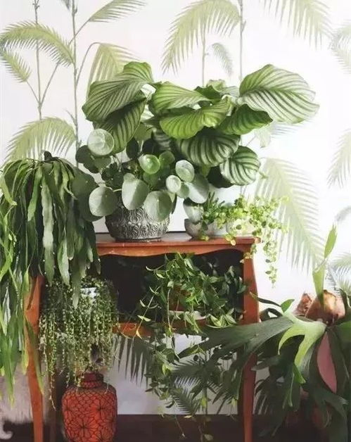 日本设计大师，工笔写实花卉图案