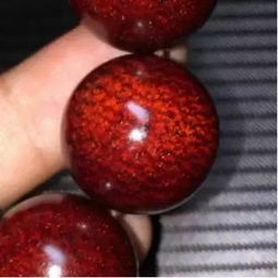 南方种子的“保暖”大法