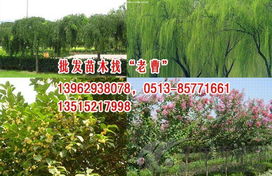 路上堪堪，说不定嫩遇见