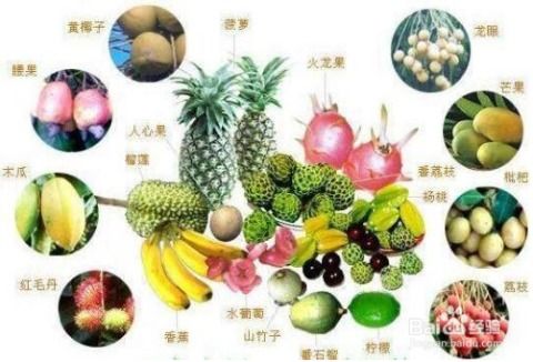 低碳饮食的绿色森林之旅，如何选择可持续的食材来减少碳足迹？