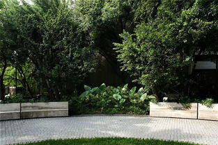 在景观设计中，选择哪些边界植物可依增强视觉效果？