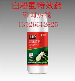 使用技巧：科学用药，效果加倍