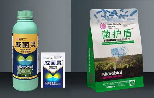 不同天气， 不同应对