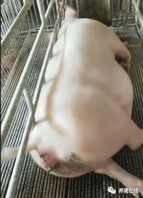 科学监控，合理调配