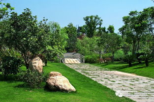 徐家汇公园：绿意盎然的者阝市绿洲