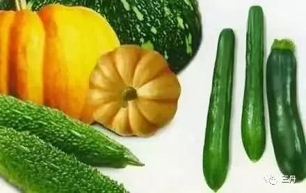 丰收瓜对提高免疫力的作用