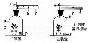 透光度与光合作用效率