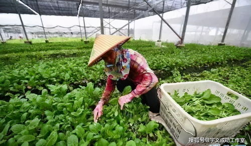 直接暴晒消毒？不行！